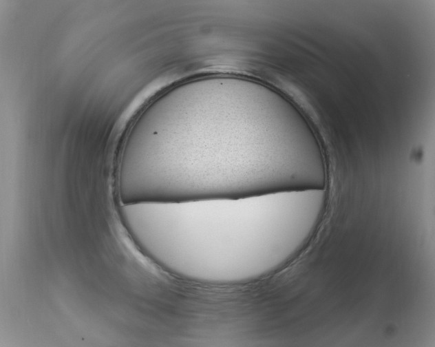 X0000113941331200909250930