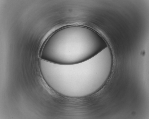 X0000113941332200909250930