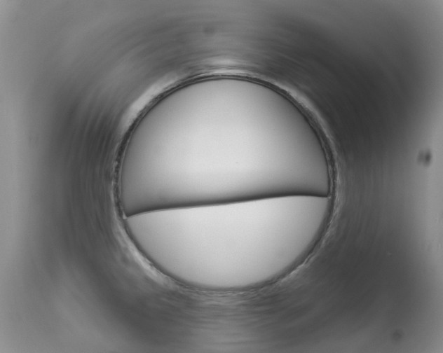 X0000113941333200909250930