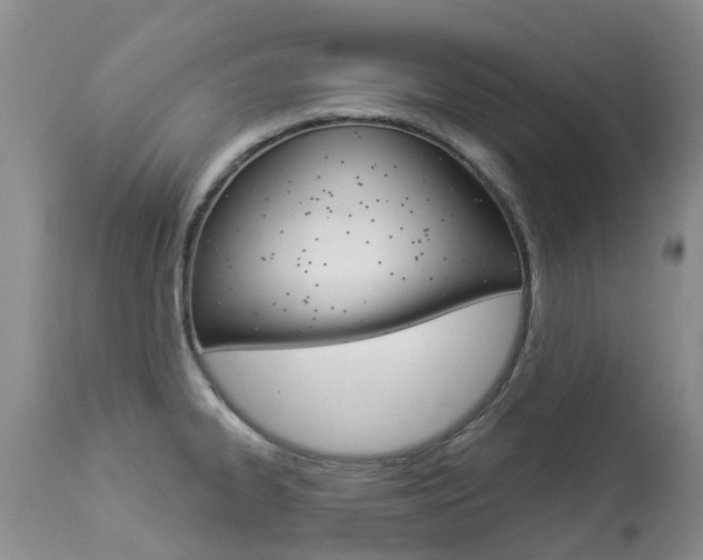 X0000113941334200909250930