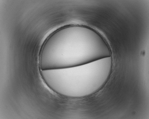 X0000113941335200909250930