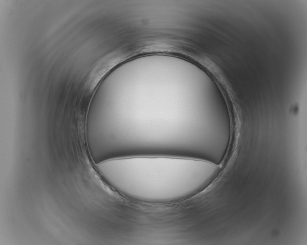 X0000113941337200909250930