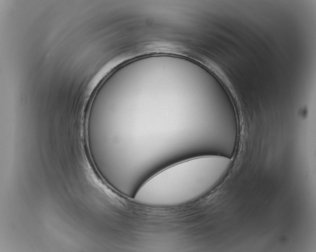 X0000113941339200909250930
