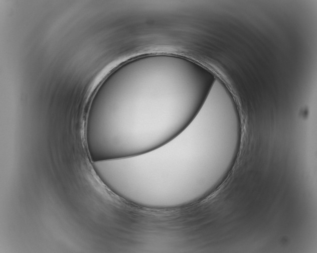 X0000113941340200909250930
