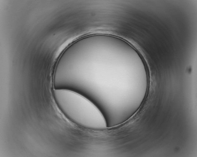 X0000113941341200909250930