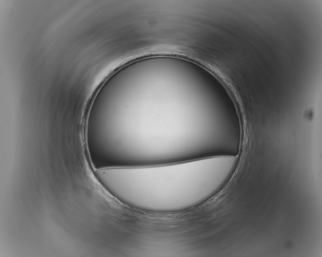 X0000113941342200909250930