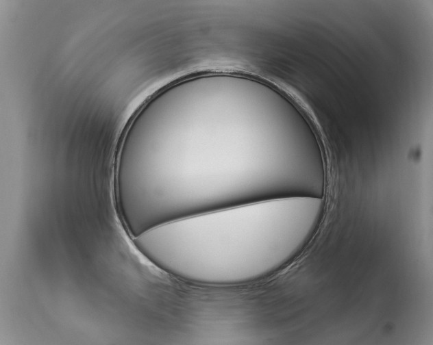 X0000113941343200909250930