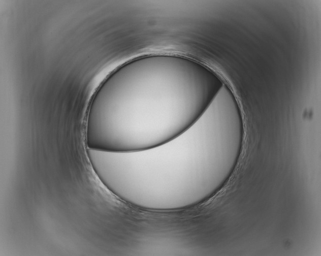 X0000113941344200909250930