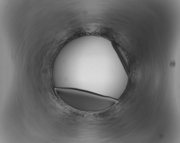 X0000113941345200909250930