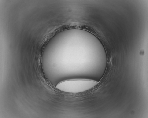 X0000113941348200909250930