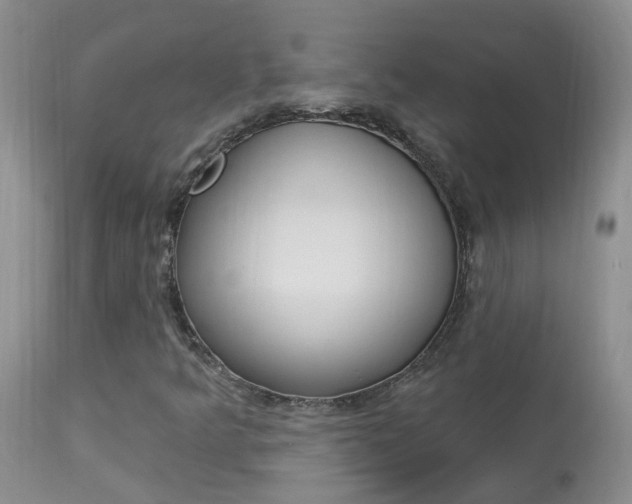 X0000113941349200909250930