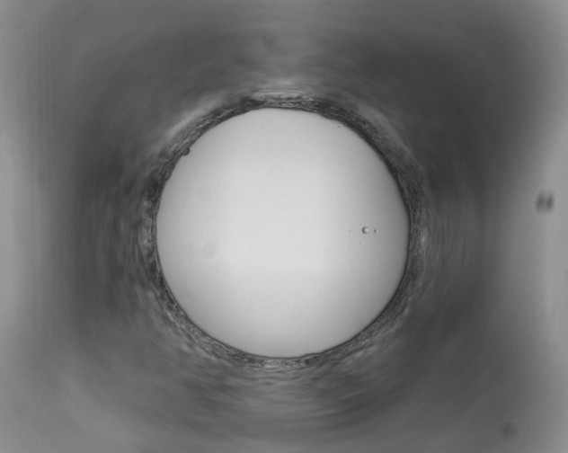 X0000113941350200909250930