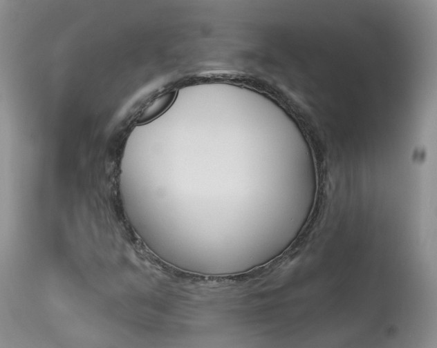X0000113941351200909250930