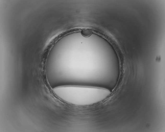 X0000113941352200909250930
