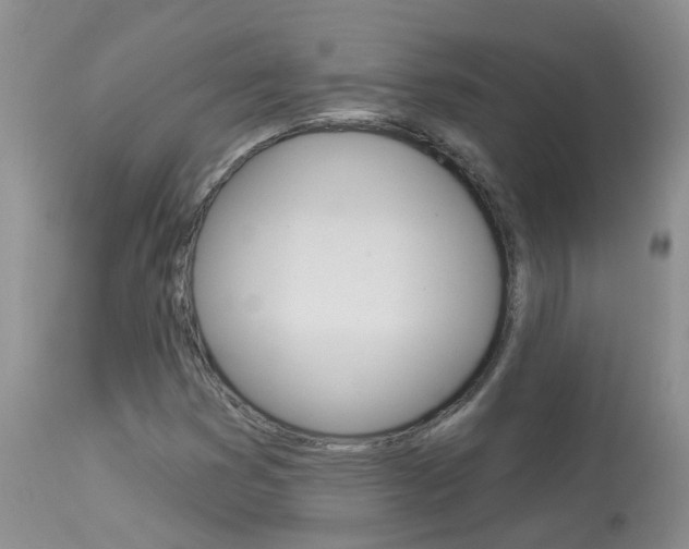 X0000113941353200909250930