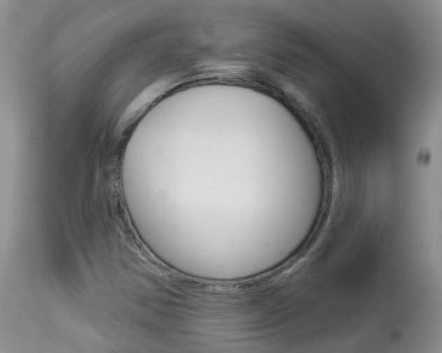X0000113941354200909250929