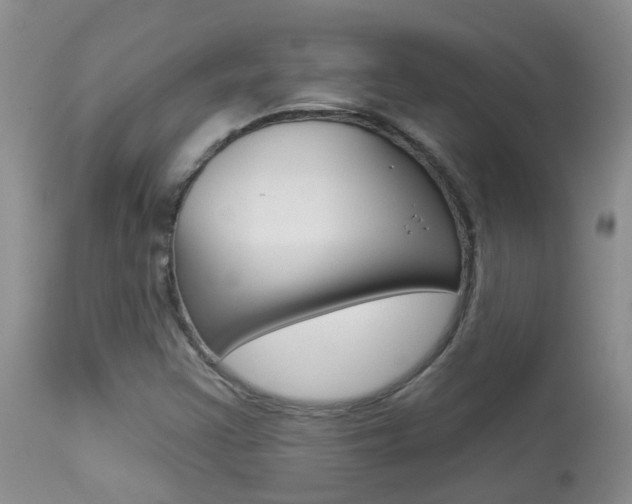 X0000113941355200909250929