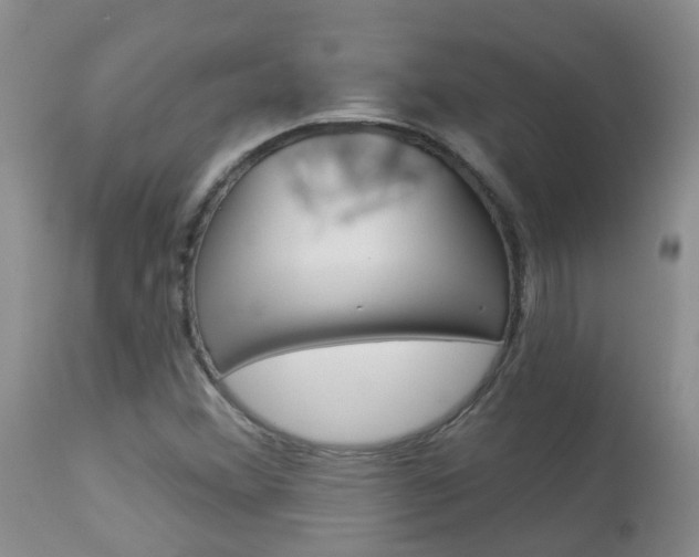 X0000113941356200909250929