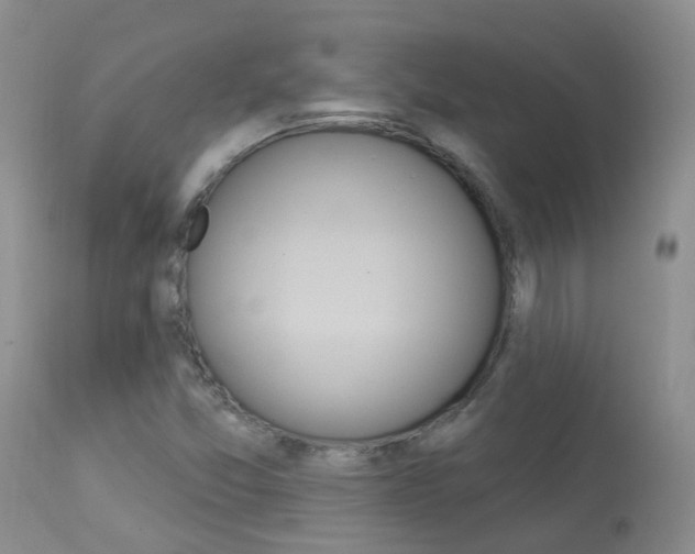 X0000113941357200909250929