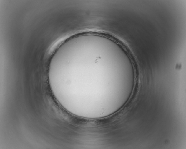 X0000113941359200909250929
