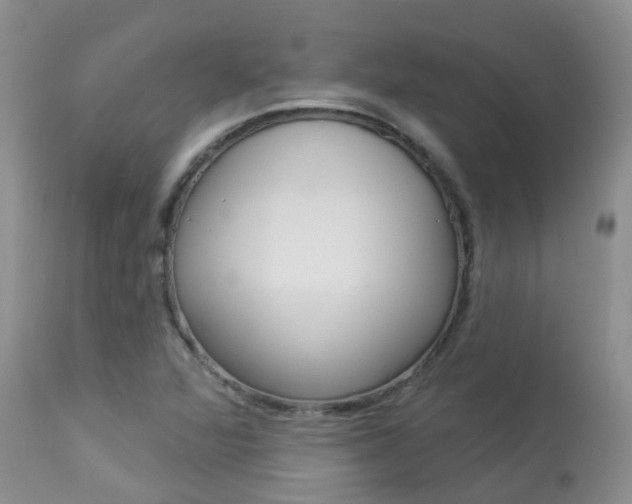 X0000113941360200909250929