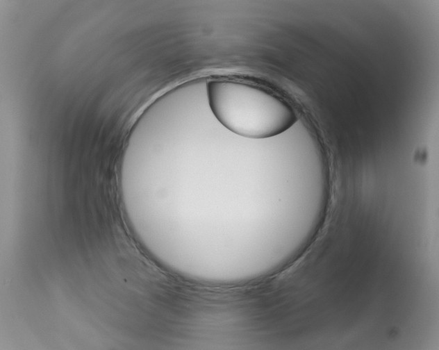 X0000113941361200909250929