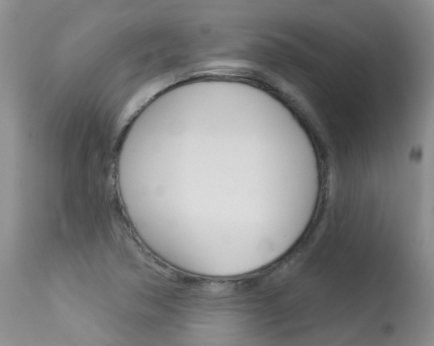 X0000113941362200909250929