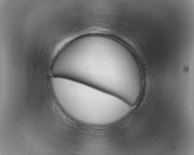 X0000113941363200909250929