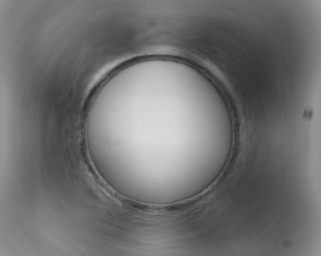 X0000113941364200909250929