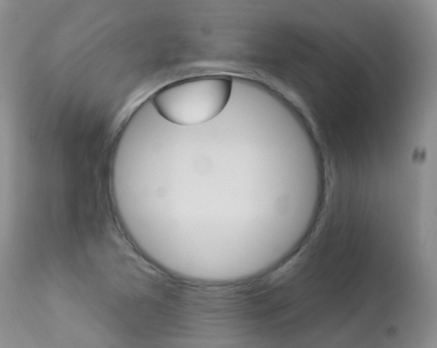 X0000113941365200909250929