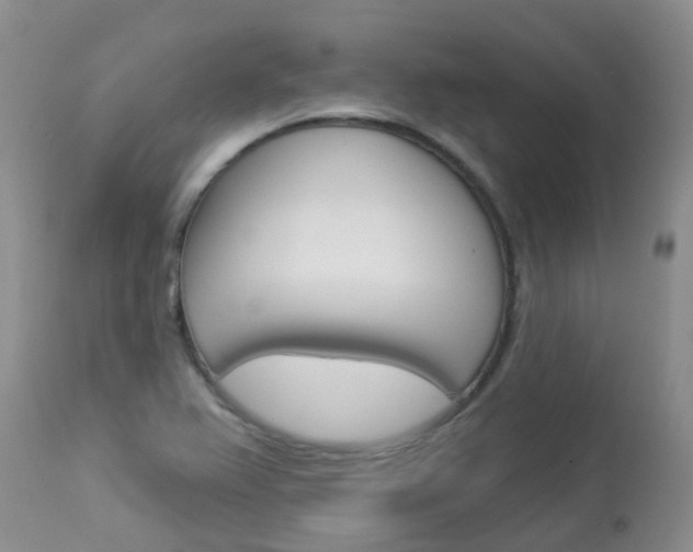X0000113941367200909250929