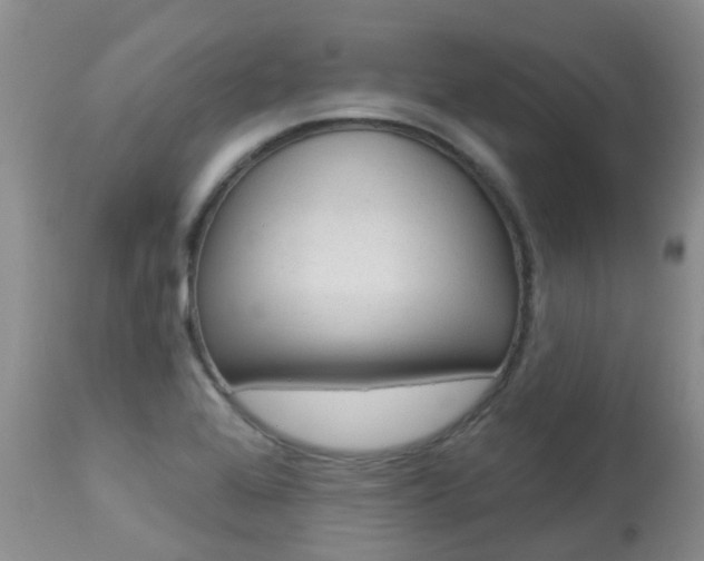X0000113941368200909250929