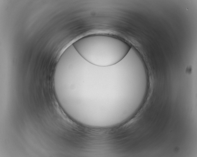 X0000113941369200909250929