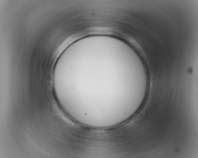 X0000113941370200909250929
