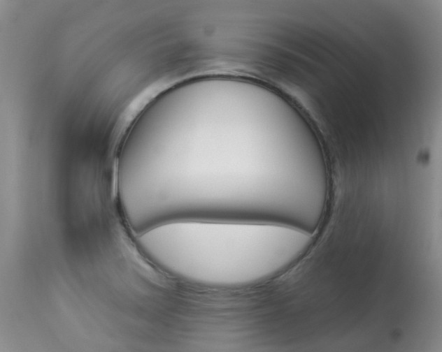 X0000113941371200909250929