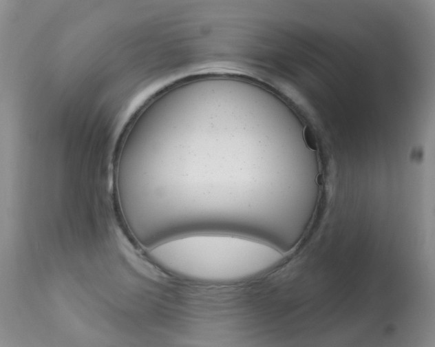 X0000113941372200909250929