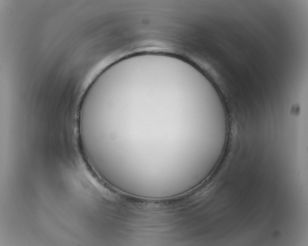 X0000113941375200909250929