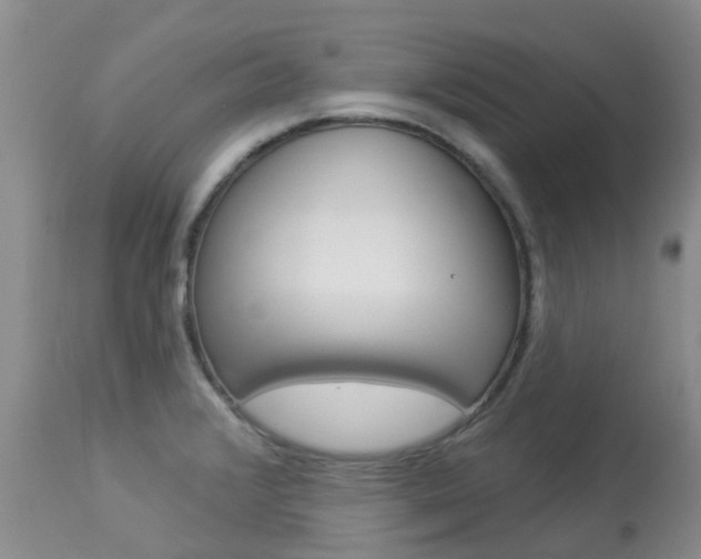 X0000113941376200909250929