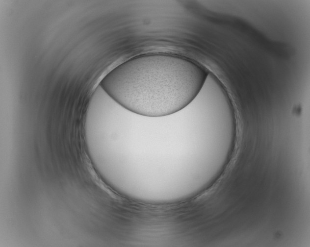 X0000113941377200909250929