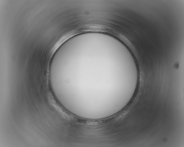 X0000113941378200909250929