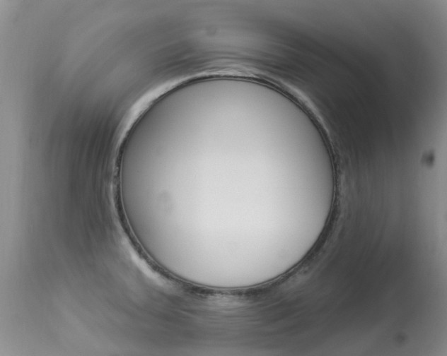 X0000113941379200909250929