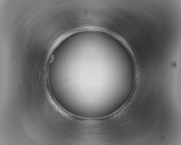 X0000113941381200909250929