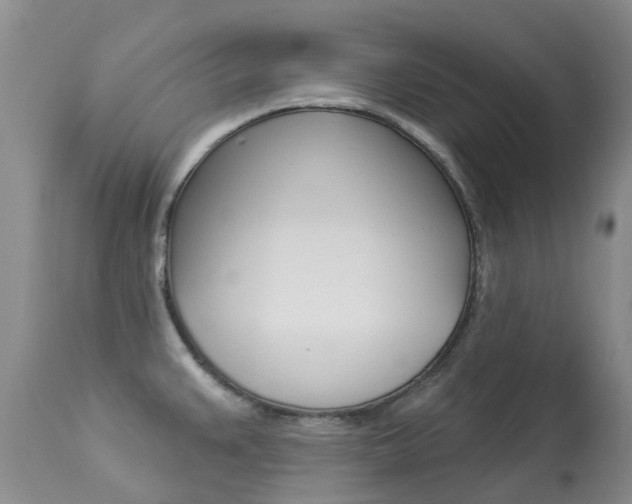 X0000113941383200909250929