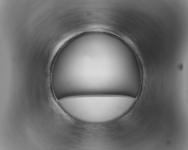 X0000113941384200909250929
