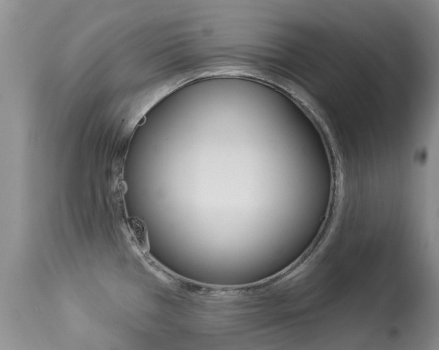 X0000113941385200909250929