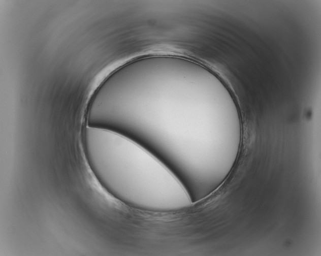 X0000113941387200909250929