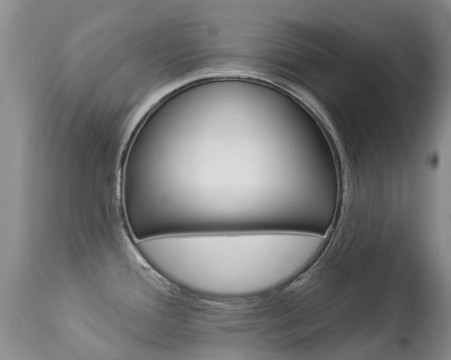X0000113941388200909250929