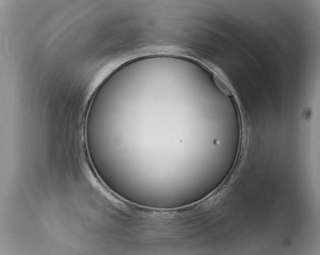 X0000113941389200909250929