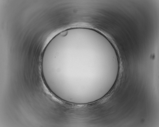 X0000113941390200909250929