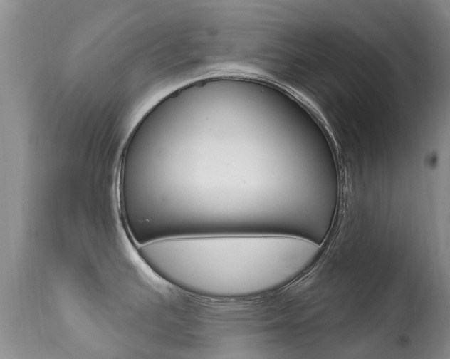 X0000113941391200909250929